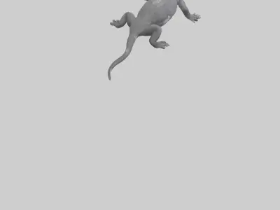 Lace Monitor resting model Low-poly 3D model