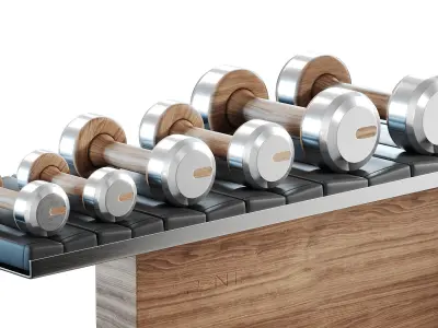 ANA COMBO Set With Gym Equipment 3D model