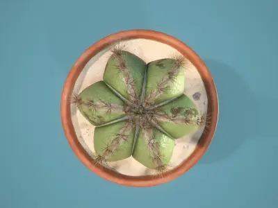 Potted Cactus 3D model