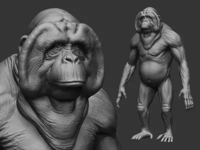 Orangutan  3D model