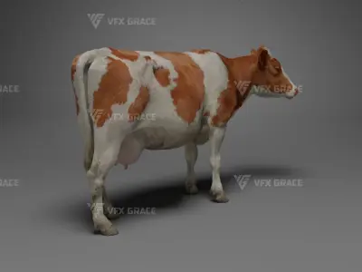 Holstein Female Animation - VFX Grace 3D model