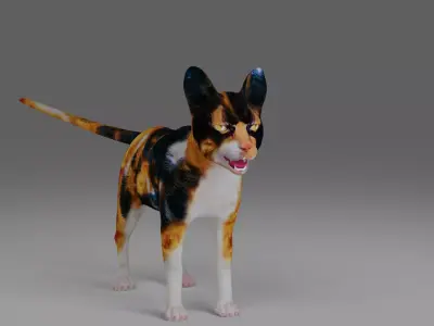 Calico Cat Rigged V4 in Blender  Low-poly 3D model