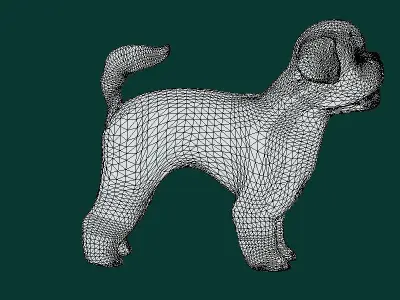 Bichon Frise Dog Breed 3D model