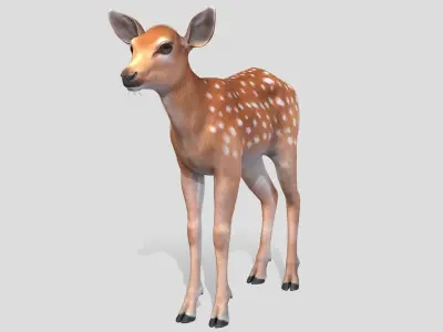 Deer - Calf Low-poly 3D model