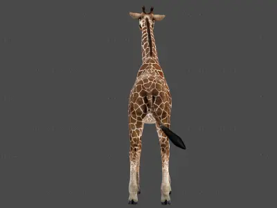 Giraffe Rigged Animated 6 3D model