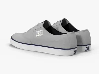 DC Shoes - Flash TX - Grey Low-poly 3D model