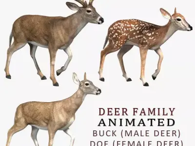 Deer Family ANIMATED 3D model