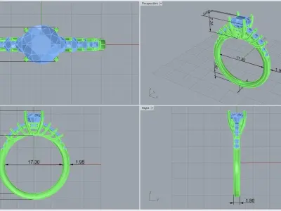 ring code 217 3D print model