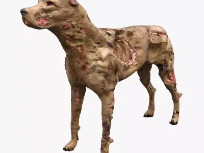 Zombie Dog  Low-poly 3D model