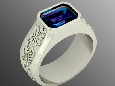 Ring sp12 3D print model