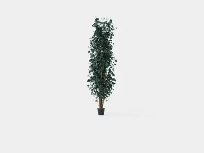 Potted Plant Low-poly 3D model