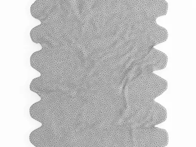 Shaggy Sheepskin Rug Ivory Color 3D model