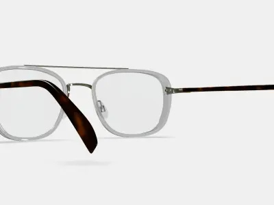 Earle Eyeglasses in Crystal with Riesling 3D model