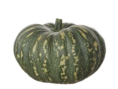 Photoscanned Kent Pumpkin Low-poly 3D model