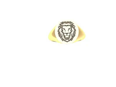 South style lion ring  rhino matrix  3D print model