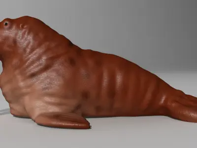 walrus Rigged 3D model