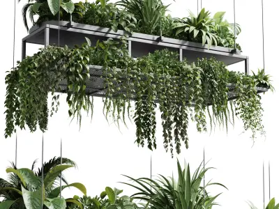 Hanging plants - indoor plant 420 Low-poly 3D model