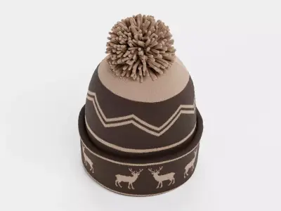 Winter Hat V6 - Brown Knit Beanie with Pom-Pom and Deer Pattern 3D model
