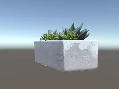 Modern Succulent Planter Box Model Pack Low-poly 3D model