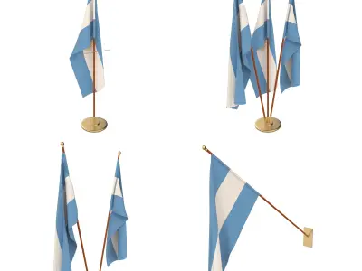 Argentina Flag Pack 3D model