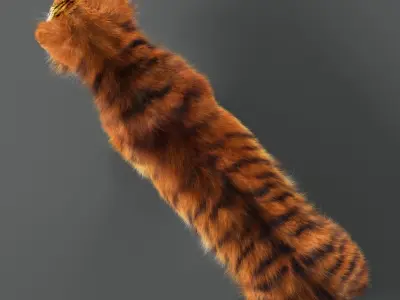 Amur Tiger v2 Low-poly 3D model