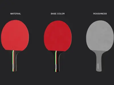 Table Tennis Paddle Low-poly 3D model