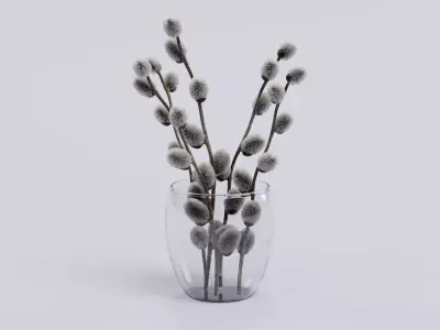 -Willow Catkins in Vase- 3D model