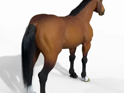 Horse 3D model