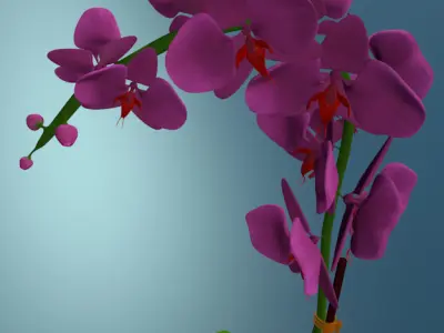 Orchid plant low poly Low-poly 3D model