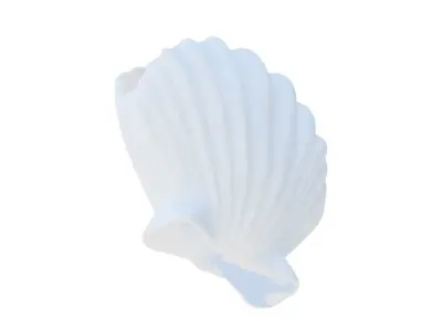 Seashell Vase 3D print model