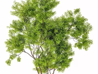 landscape Tree Modern 3D model