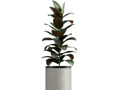 13 High Quality 3D Pot plants 3D model