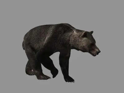 walking bear loop 3D model