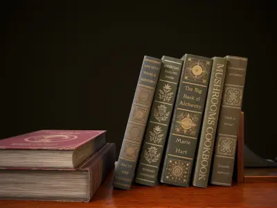 Vintage shelf with books Low-poly 3D model