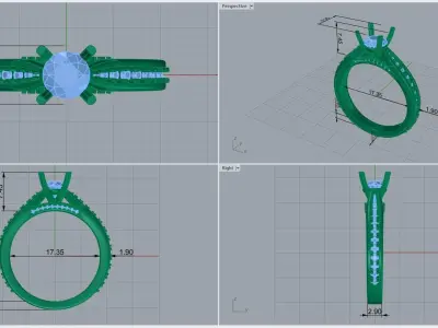 ring code 224 3D print model