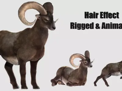 rigged goat ram sheep  Low-poly 3D model