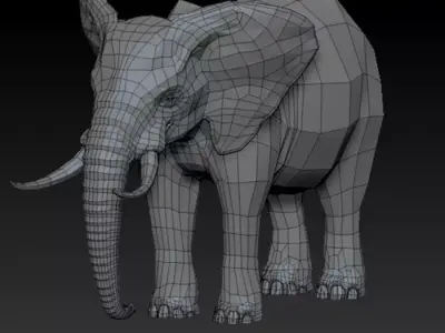 3D ELEPHANT - LOWPOLY Low-poly 3D model