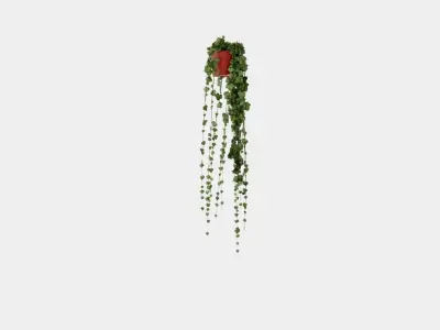 Hedera helix long ranks Low-poly 3D model