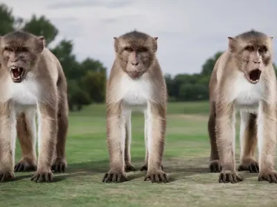 Rhesus Monkey Rig UNREAL project - includes Maya base rig - 3D model