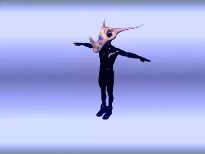 2 Toon Masks Low-poly 3D model