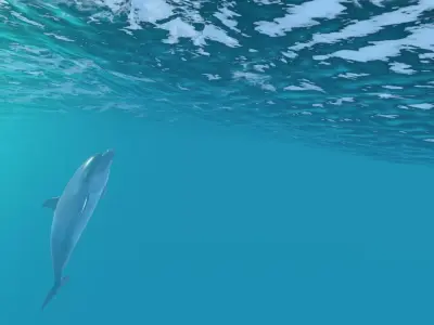 Happy dolphins - animated 3D model