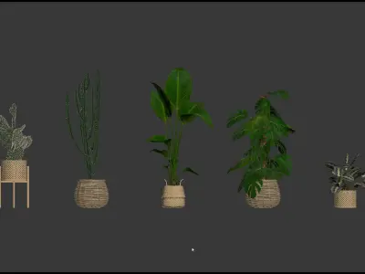 20 Photorealistic Flowers for Interiors - set 202 207 211 218 3D Model Collection