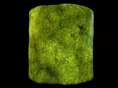 Broom Fork Moss PBR Material and  Texture