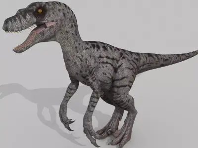 Female Alpha Raptor - 8K - Animated 3D model
