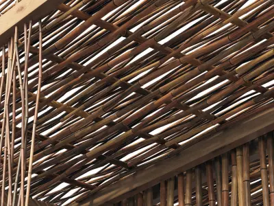 Bamboo branch decor n24 3D model