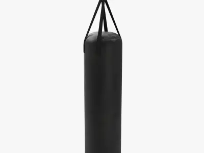 Punching Bag 3D model
