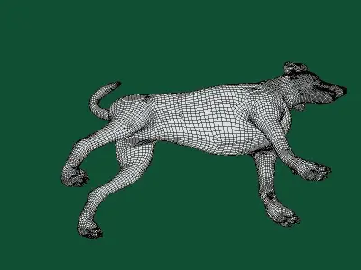 Dobermann Pinscher Dog Natural Breed 3D model