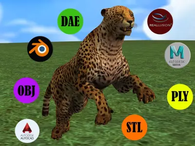 Cheetah Rigged Animated 8 Low-poly 3D model