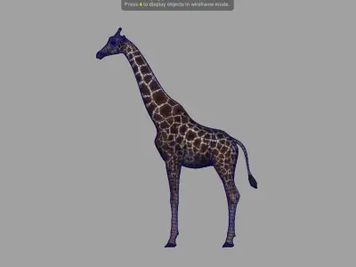 giraffe 3D model 8