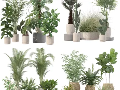 20 Photorealistic Flowers for Interiors - set 202 213 214 216 3D Model Collection